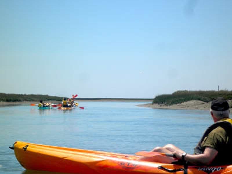 Billet Location de kayak de mer dans la Ria Formosa depuis Faro, Algarve