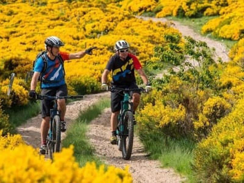 Billet Descente en VTT de la montagne ardéchoise, sud de l'Ardèche