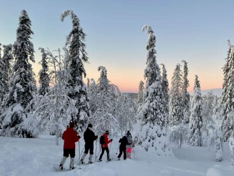 Billet Randonnée en raquettes dans le parc national de Pallas-Ylästunturi depuis Levi