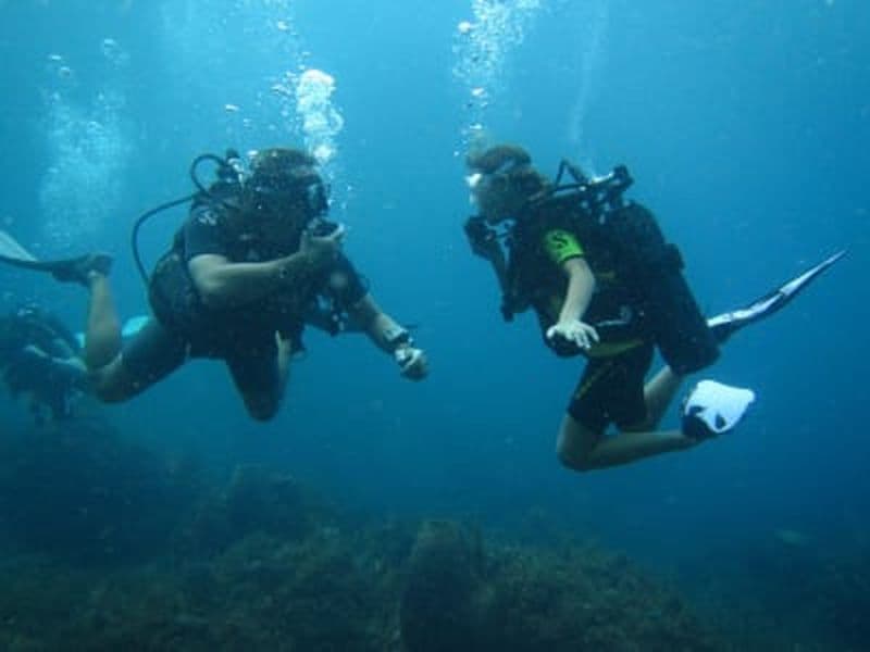 Billet Baptême de plongée à l'Anse à l'Âne, Martinique
