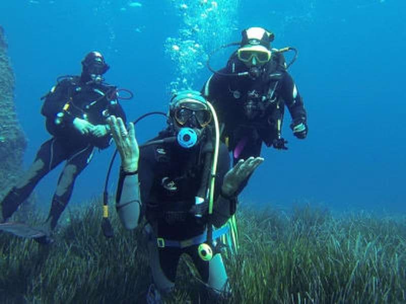 Billet Plongée exploration à Sisco au Cap Corse, près de Bastia