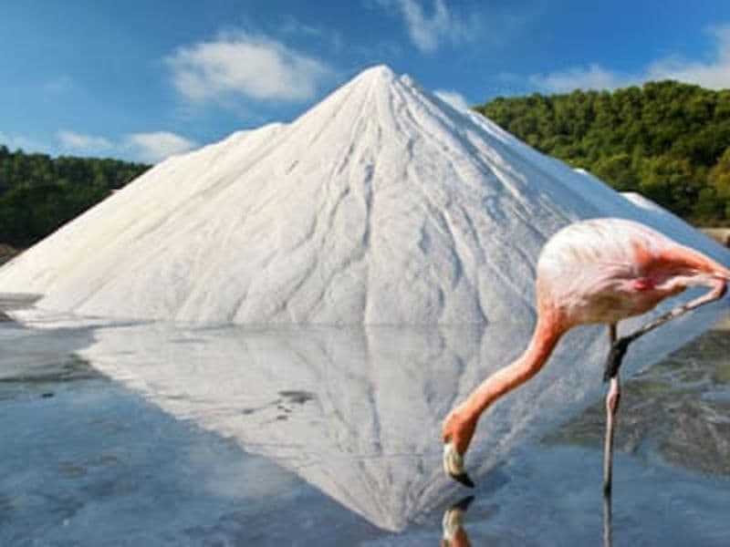 Billet Excursion à vélo dans le parc naturel de Ses Salinas, Ibiza