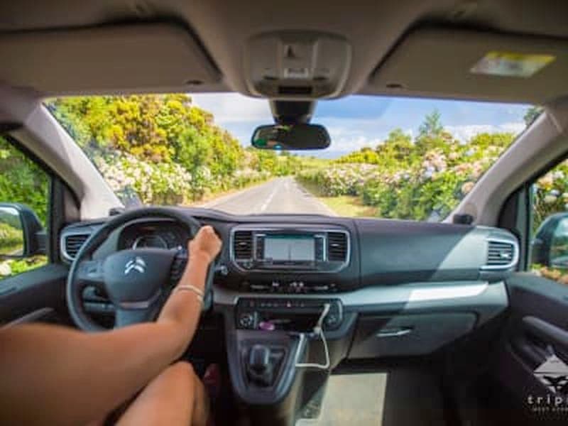 Billet Excursion d'une journée en van autour du mont Pico à Ilha do Pico, Açores