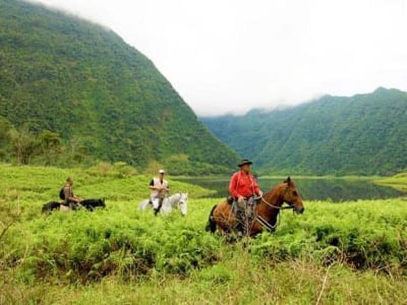 Billet Randonnée à cheval au Grand-Etang, La Réunion