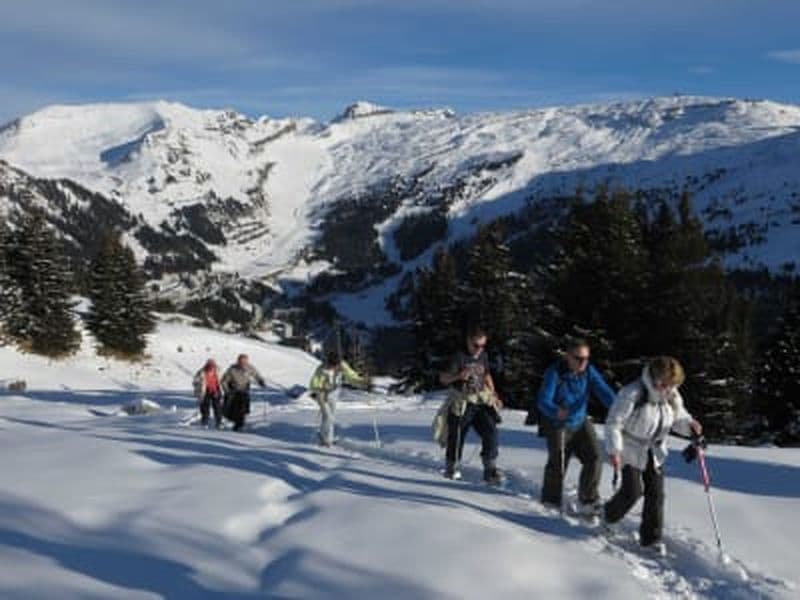 Billet Randonnée privée en raquettes à Avoriaz, Portes du Soleil