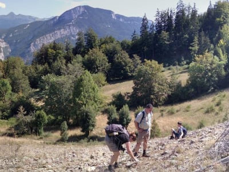 Billet Randonnée guidée dans la Vallée Fossile des Rimets, Parc naturel régional du Vercors, près de Grenoble