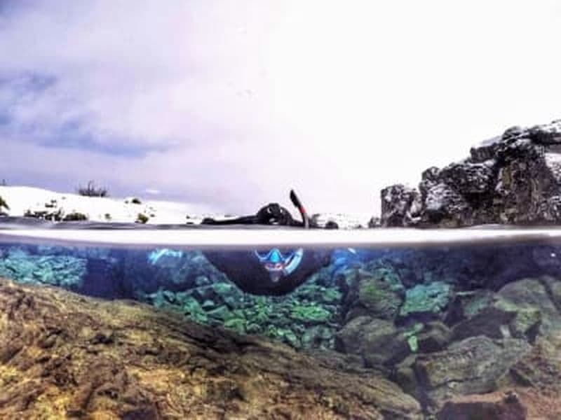 Billet Excursion guidée de snorkeling dans la fissure de Silfra au parc national de Thingvellir depuis Reykjavik