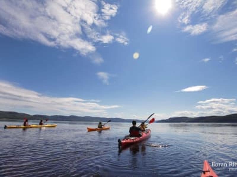 Billet Balade en kayak de mer dans le fjord du Saguenay depuis Cap Jaseux, Saint-Fulgence