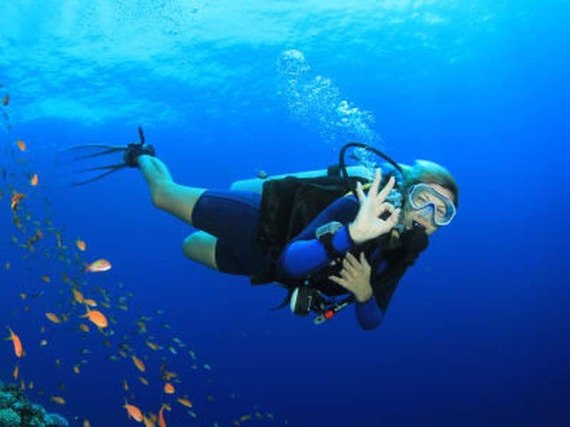 Billet Plongées exploration autonomes dans la baie de Saint-Leu à La Réunion