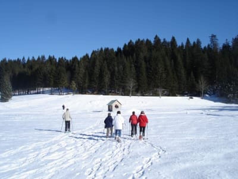 Billet Randonnée en raquettes à neige et fondue au Massif de la Chartreuse