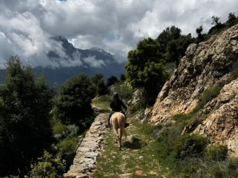 Billet Randonnée à cheval à Olmi-Cappella près de l’Île-Rousse, Corse