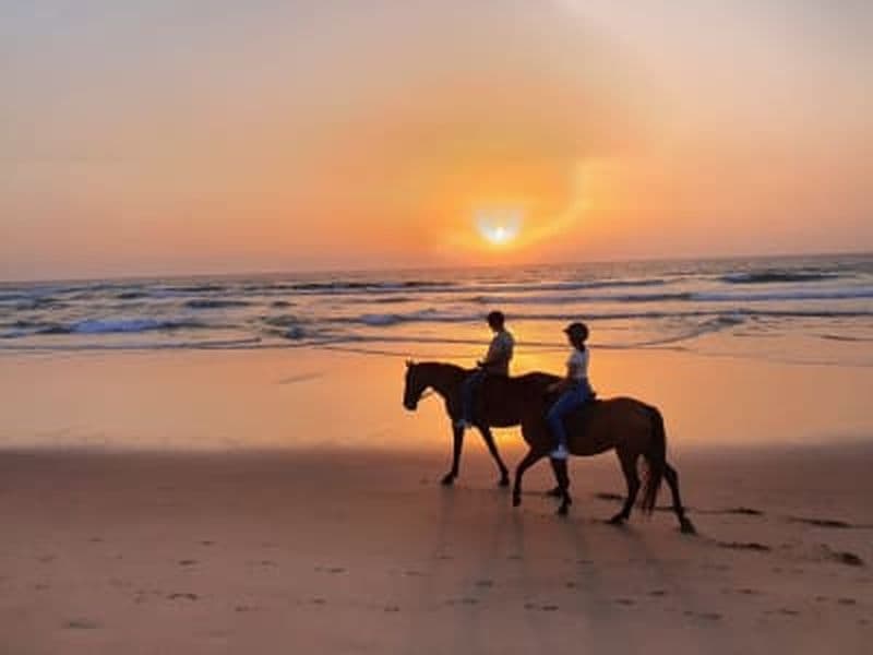 Billet Randonnée à cheval sur la plage de Bordeira au coucher du soleil depuis Carrapateira, Algarve