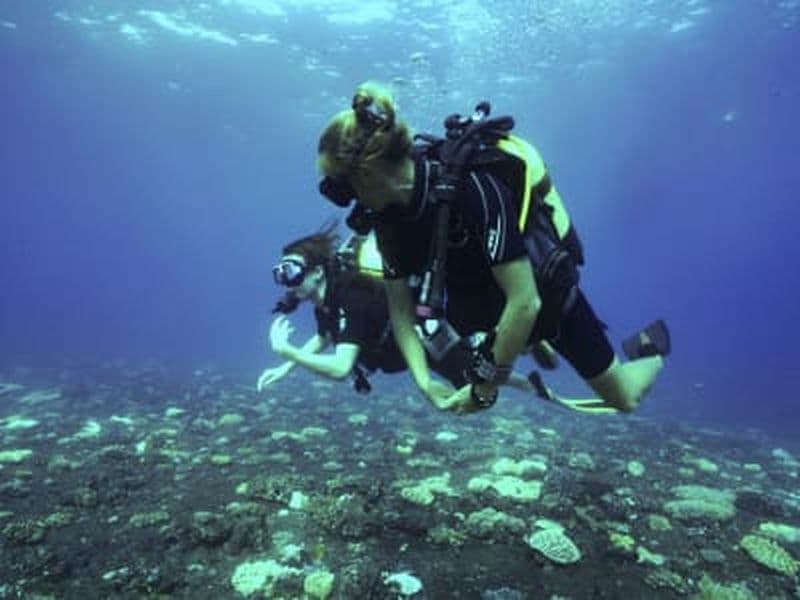 Billet Baptême de plongée à L’Étang-Salé dans la réserve de La Réunion