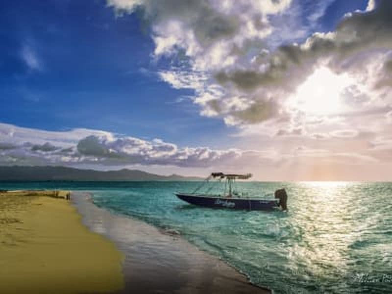 Billet Balade en bateau dans la Réserve naturelle de Grand Cul-de-sac marin depuis Sainte-Rose