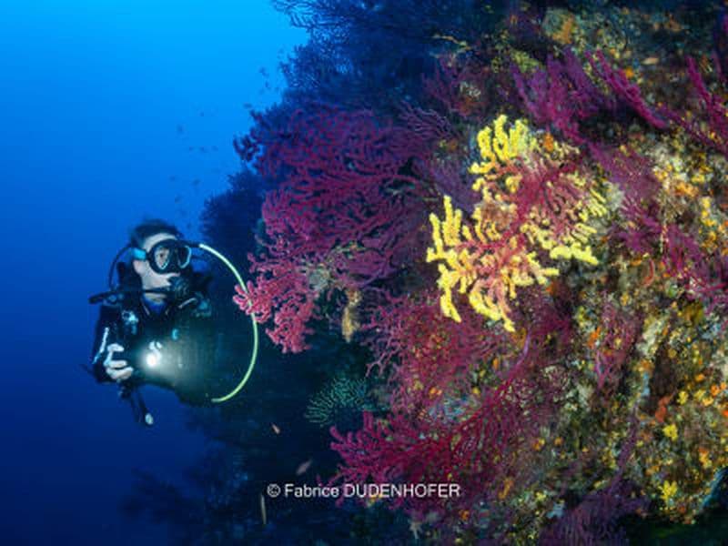 Billet Plongée exploration à Marseille