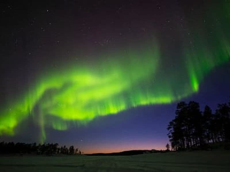 Billet Visite de la ferme d'élevage de rennes des aurores boréales à Ivalo