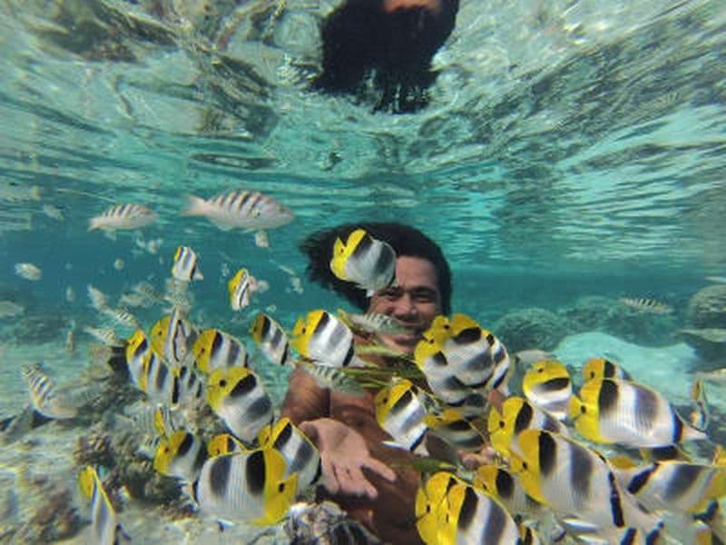 Billet Excursion en bateau avec snorkeling dans le lagon de Taha'a au départ de Taha'a