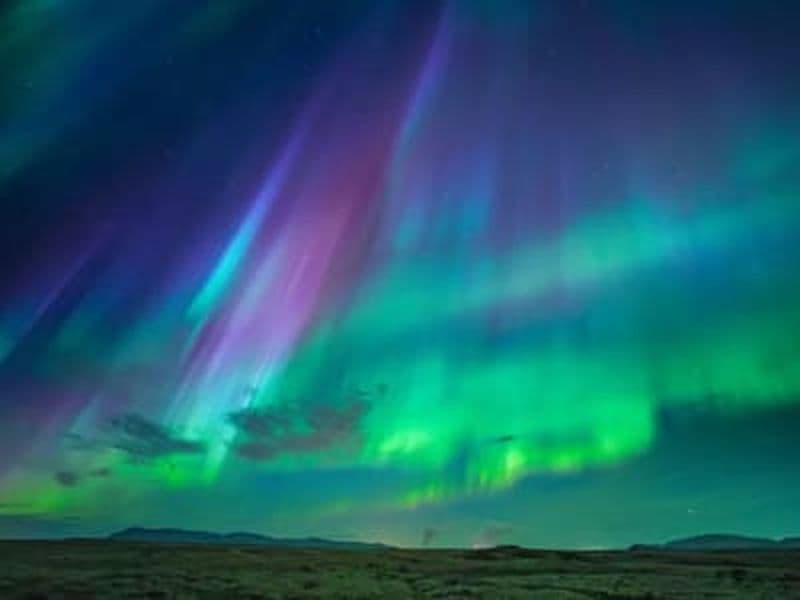 Billet Excursion aux aurores boréales et observation des baleines depuis Reykjavík