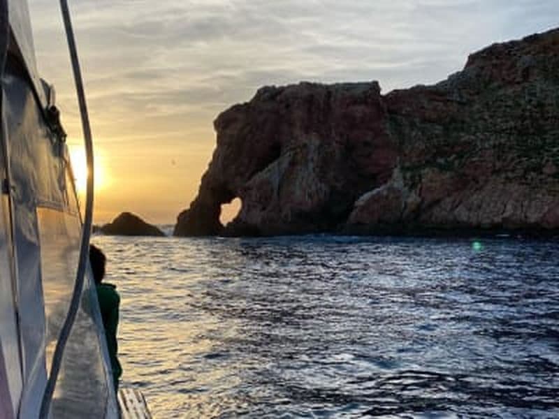 Billet Excursion en bateau vers les îles Berlengas et les spéléologies de Peniche