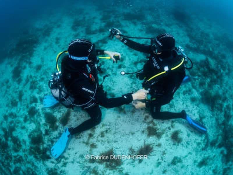 Billet Formation de plongée PADI Open Water à Marseille