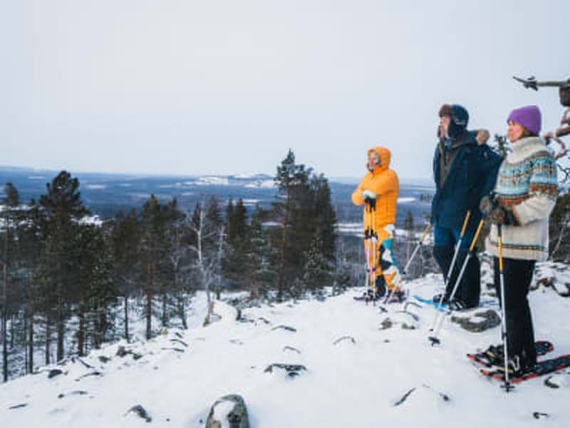Billet Raquettes dans le parc national de Pyhä-Luosto