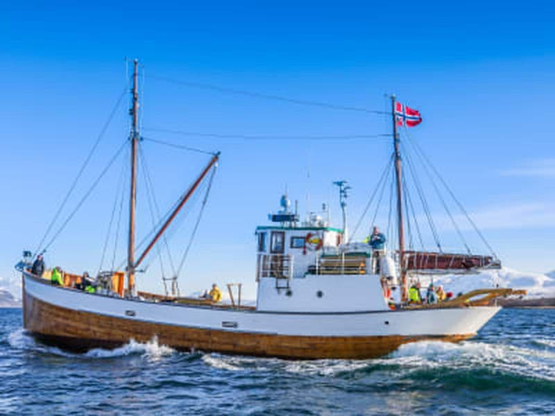 Billet Excursion dans un fjord et en bateau de pêche à bord d'un navire historique au départ de Tromsø