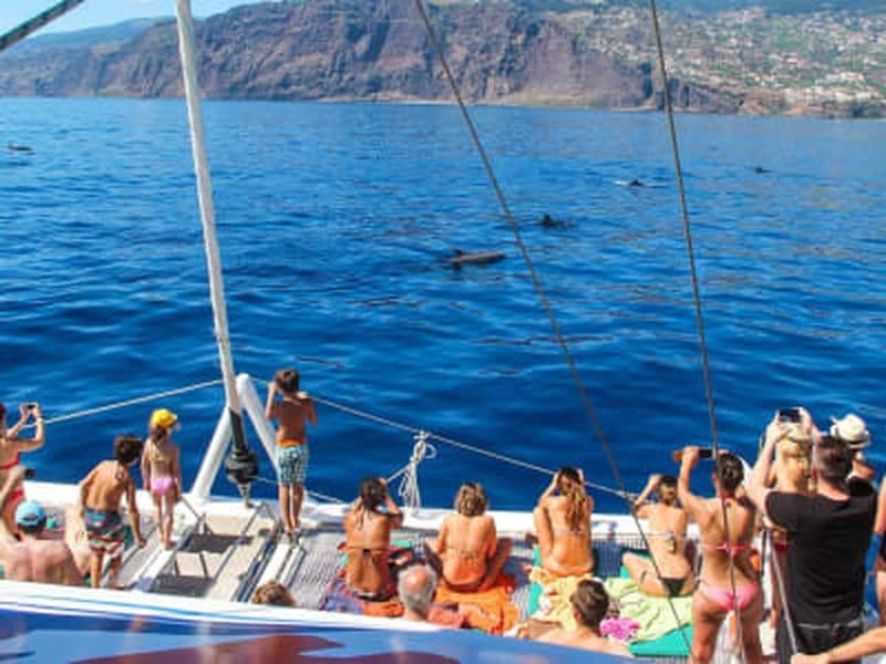 Billet Excursion en bateau pour observer les dauphins et excursion en 4x4 à Madère (Skywalk, Cliff & Valleys)