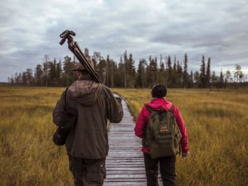 Billet Safari ornithologique et animalier dans le parc national de Pyhä-Luosto, Finlande