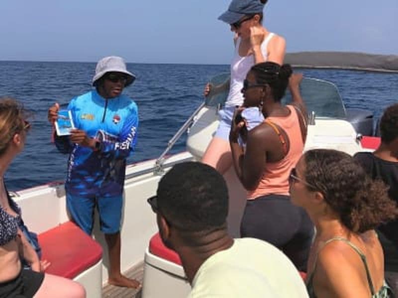 Billet Observation des dauphins depuis Les Trois-Îlets en Martinique et snorkeling