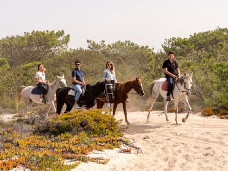 Billet Visite guidée de Setúbal et excursion à cheval à Comporta, au départ de Lisbonne
