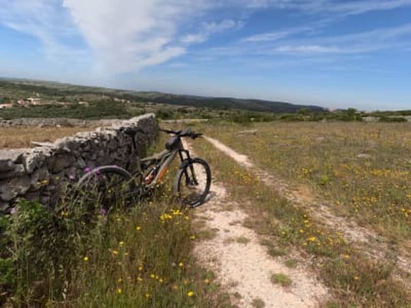 Billet Excursion à vélo électrique dans la vallée de Fórnea à Alvados, Porto de Mós