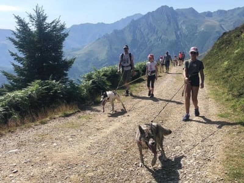 Billet Cani-randonnée dans le Val d’Azun près d’Argelès-Gazost, Hautes-Pyrénées