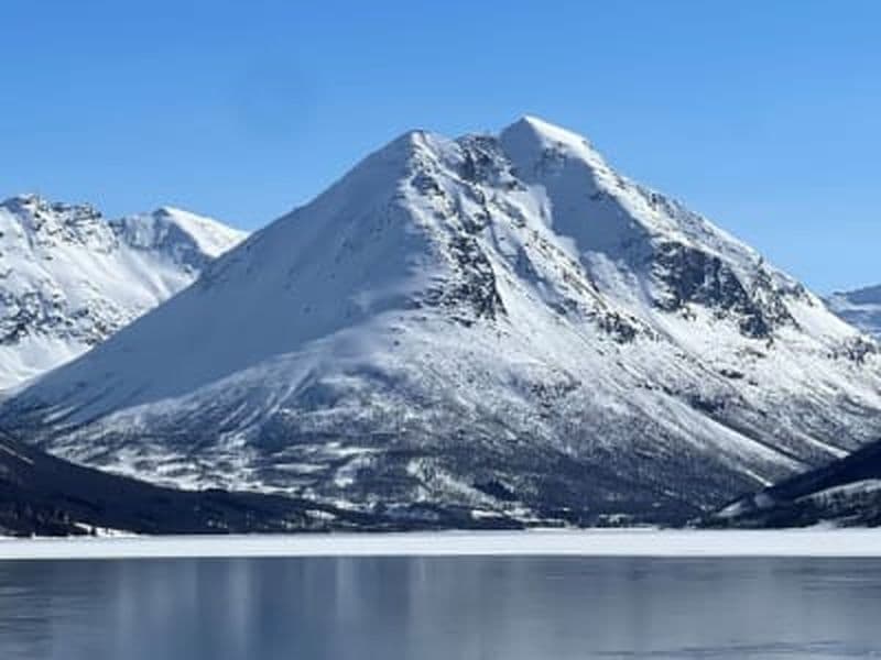 Billet Printemps/été Excursion guidée en bateau de pêche au départ de Tromsø