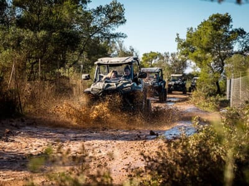 Billet Excursion en buggy hors route et sur route depuis Son Oms près de Palma, Majorque
