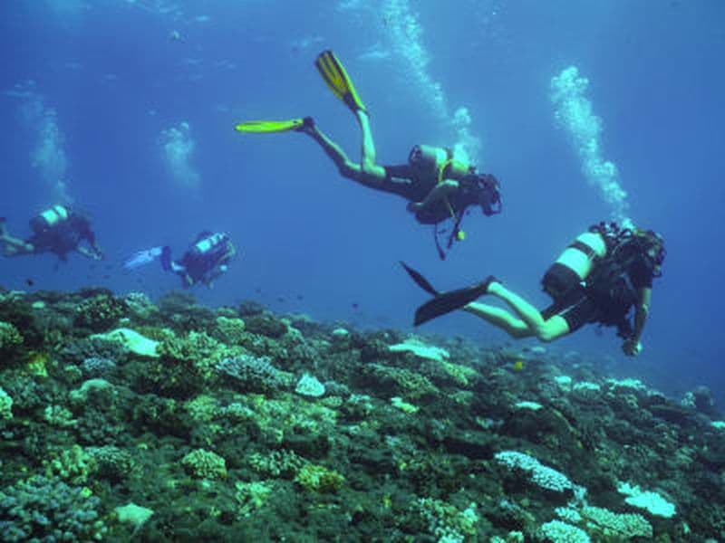 Billet Plongée exploration depuis l'Étang-Salé dans la réserve de La Réunion