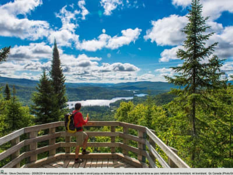Billet Journée de randonnée au parc national du Mont-Tremblant, départ de Montréal