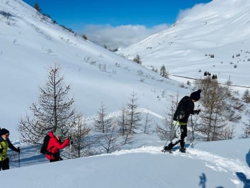 Billet Randonnée en raquettes de nuit près de La Grave dans les Écrins