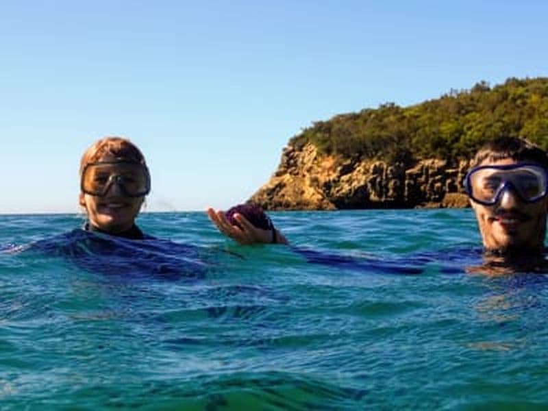 Billet Aventure snorkeling dans le parc naturel d'Arrábida au départ de Lisbonne