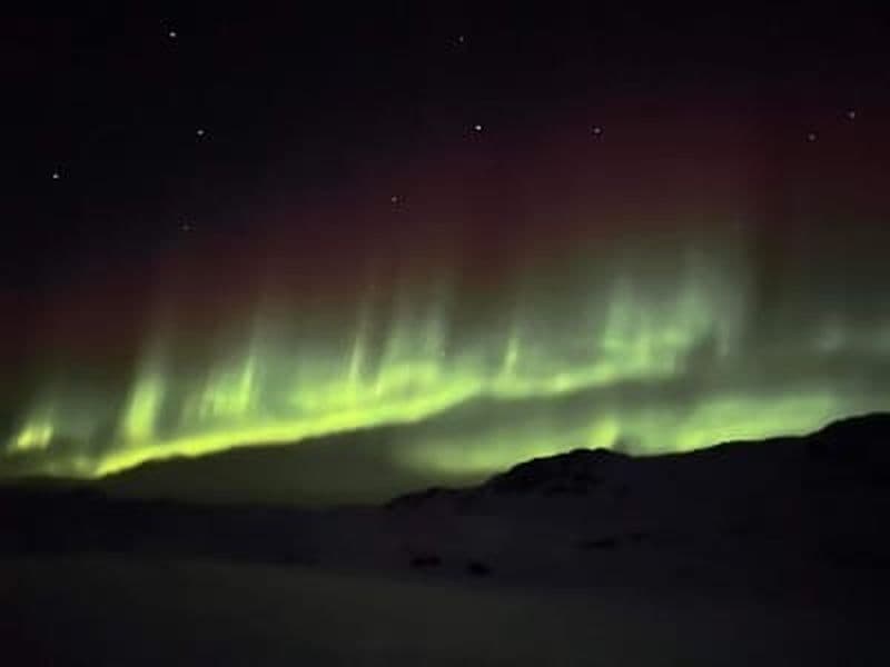 Billet Excursion en motoneige pour les aurores boréales à Ilulissat, Groenland