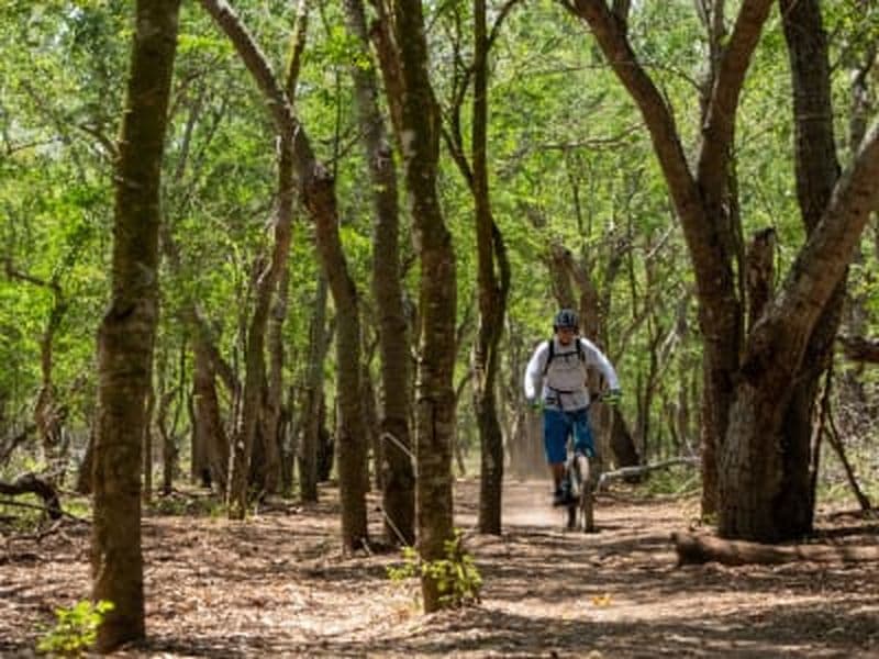 Billet Excursion en trottinette électrique dans la forêt de l'Etang-Salé, La Réunion