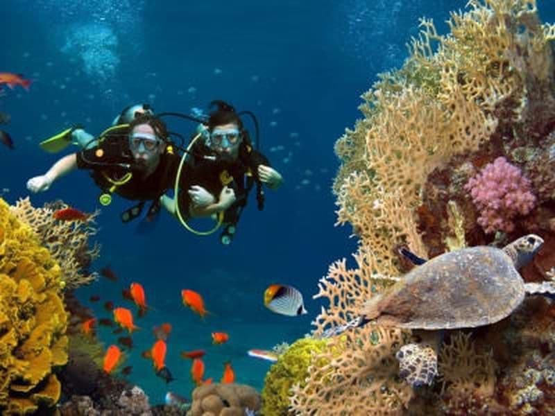 Billet Découvrez la plongée sous-marine à Agia Efimia, en Céphalonie.