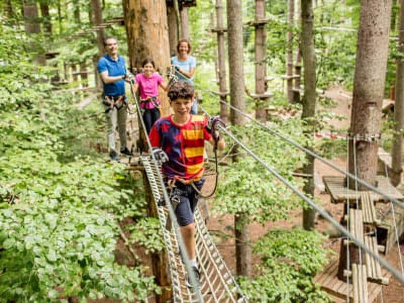 Billet Parc accrobranche à Interlaken