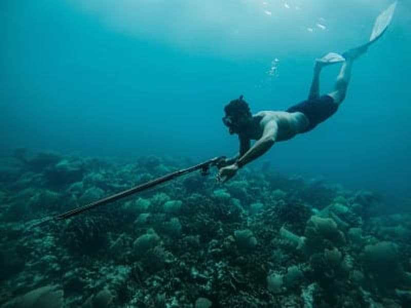 Billet Découverte de la pêche sous-marine à São Miguel dans les Açores