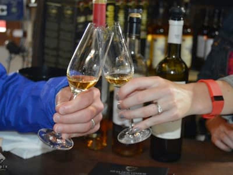 Billet Journée entière de dégustation de vins autour d'Ilha do Pico, Açores