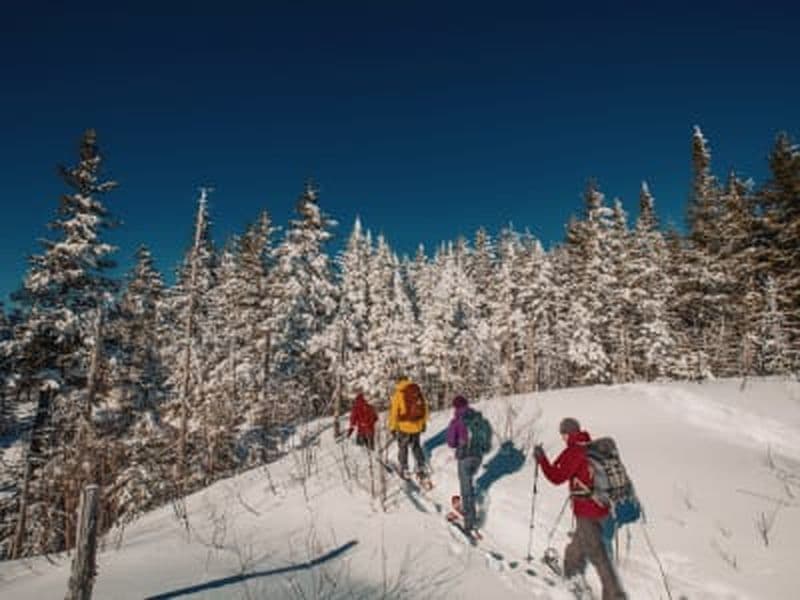 Billet Randonnée en raquettes au Parc national du Mont-Tremblant depuis Montréal