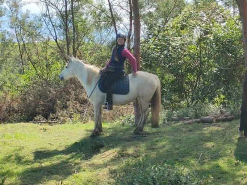 Billet Balade à cheval débutant sur le Piton Maïdo, La Réunion