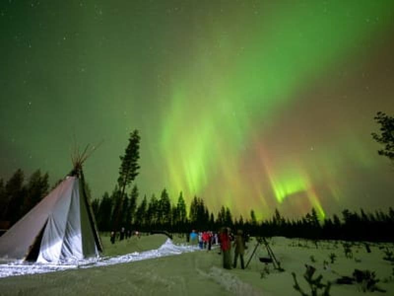 Billet Aurores boréales et barbecue lapon près de Rovaniemi