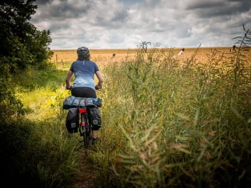 Billet Location de VTT près de Versailles dans les Yvelines