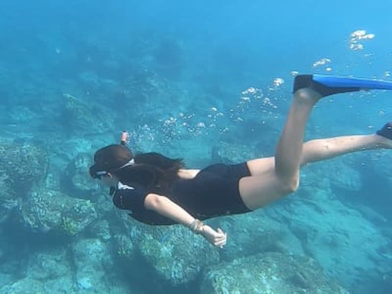 Billet Excursion snorkeling dans la Réserve Cousteau, Guadeloupe