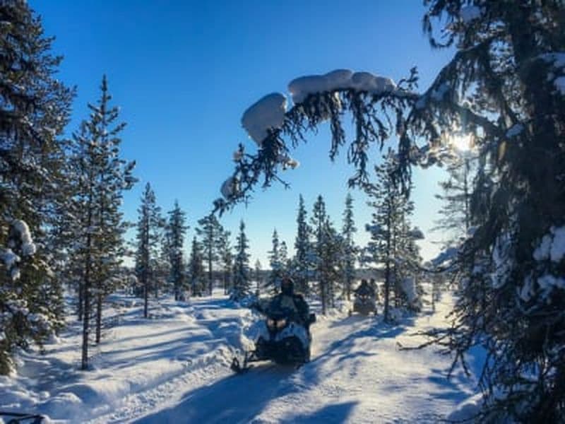 Billet Excursion en motoneige depuis Kiruna avec déjeuner